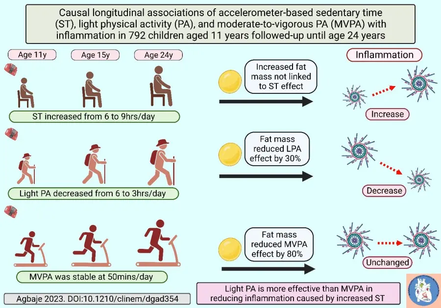 Light physical activity from childhood is more effective than MVPA in reducing inflammation caused by being sedentary